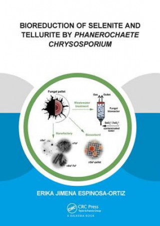 Kniha Bioreduction of Selenite and Tellurite by Phanerochaete Chrysosporium ESPINOSA-ORTIZ