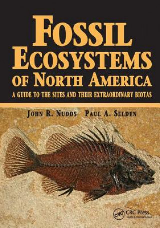 Carte Fossil Ecosystems of North America SELDEN