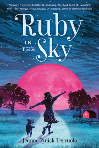 Knjiga Ruby in the Sky Jeanne Zulick Ferruolo