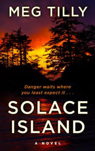 Книга Solace Island Meg Tilly