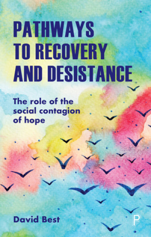 Книга Pathways to Recovery and Desistance David Best