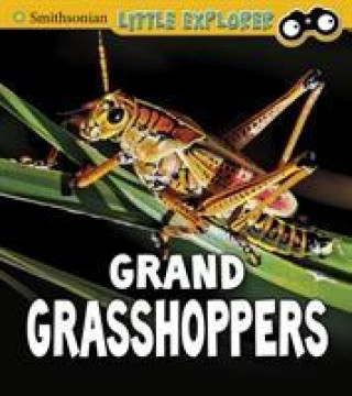 Kniha Grand Grasshoppers PETERSON  MEGAN COOL