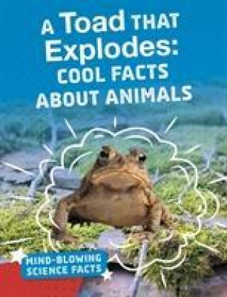 Kniha Toad That Explodes ABRAMOVITZ  MELISSA