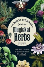 Carte Modern Witchcraft Guide to Magickal Herbs Judy Ann Nock