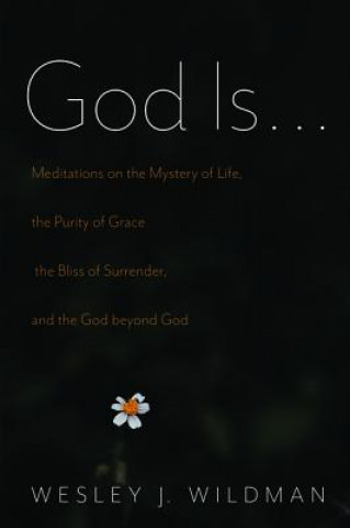 Libro God Is . . . Wesley J Wildman