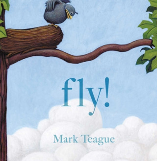 Kniha Fly! Mark Teague