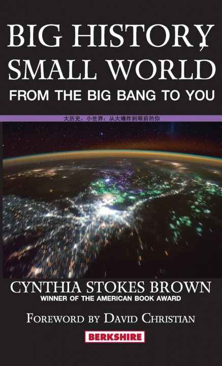 Kniha Big History, Small World Cynthia Stokes Brown