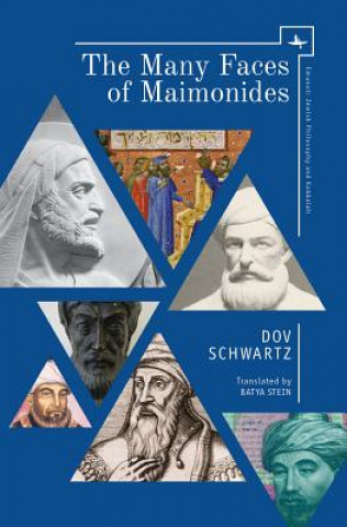 Kniha Many Faces of Maimonides Dov Schwartz