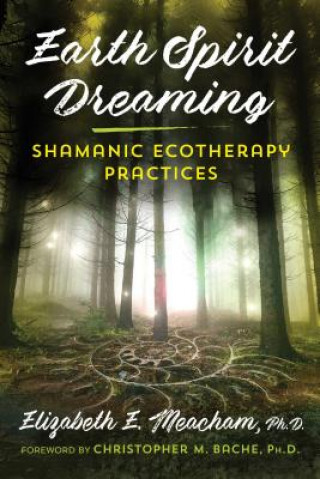 Knjiga Earth Spirit Dreaming Elizabeth E. Meacham