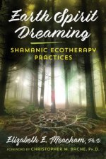 Könyv Earth Spirit Dreaming Elizabeth E. Meacham