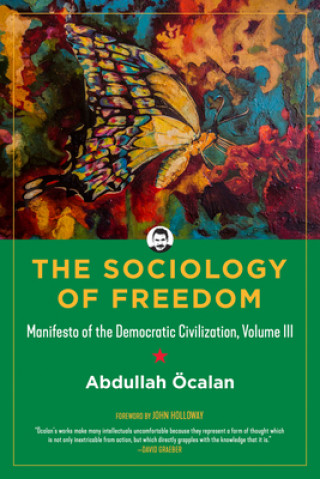 Kniha Sociology Of Freedom John Holloway