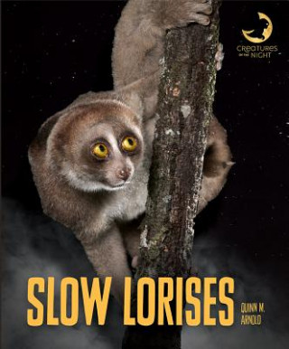 Kniha Slow Lorises Quinn M. Arnold