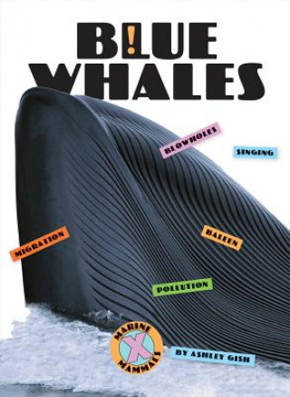 Knjiga Blue Whales Ashley Gish
