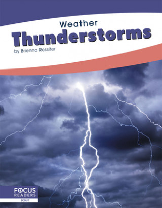 Knjiga Weather: Thunderstorms Brienna Rossiter
