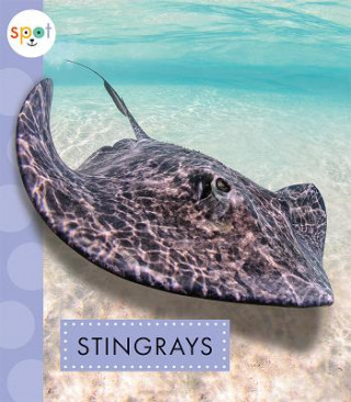 Knjiga Stingrays Mari C. Schuh