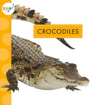 Kniha Crocodiles Mary Ellen Klukow