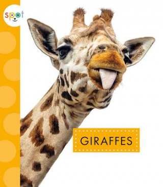 Libro Giraffes Mary Ellen Klukow
