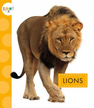 Βιβλίο Lions Mary Ellen Klukow