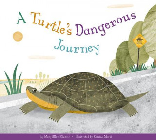 Βιβλίο A Turtle's Dangerous Journey Mary Ellen Klukow