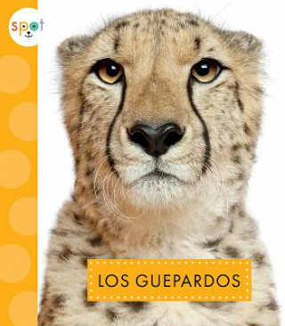 Knjiga Los Guepardos Mary Ellen Klukow