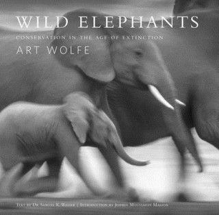 Kniha Wild Elephants Samuel Wasser