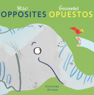 Buch Opposites/Opuestos Courtney Dicmas