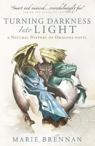 Książka Turning Darkness into Light Marie Brennan
