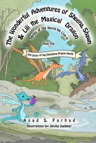 Livre The Story of the Vanishing Dragon World Devika Joglekar