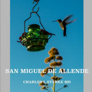 Kniha San Miguel de Allende Charles L. Starke MD