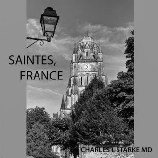 Kniha Saintes, France Charles L. Starke MD