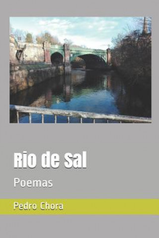 Knjiga Rio de Sal: Poemas Pedro Chora Estadao