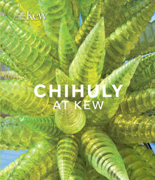 Könyv Chihuly at Kew Tim Richardson
