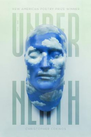 Βιβλίο The Underneath Christopher Cokinos
