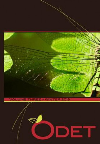 Boek Odet Vol. 3 Warren Firschein