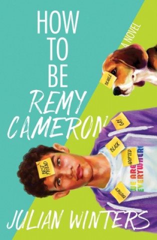 Kniha How to Be Remy Cameron Julian Winters