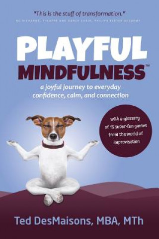 Book Playful Mindfulness Ted Desmaisons