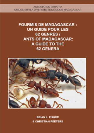 Könyv Ants of Madagascar - A Guide to the 62 Genera Brian L. Fisher