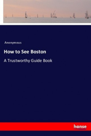 Boek How to See Boston Anonym
