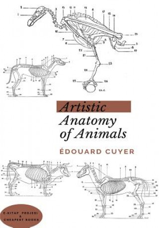 Carte Artistic Anatomy of Animals Edouard Cuyer