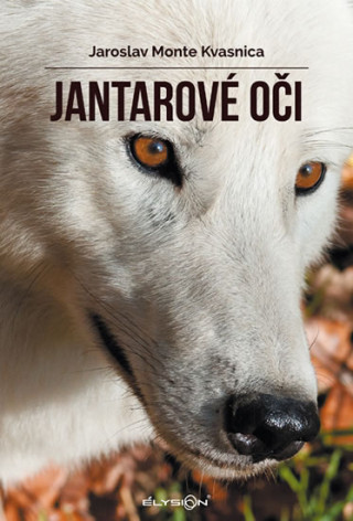 Book Jantarové oči Kvasnica Jaroslav Monte