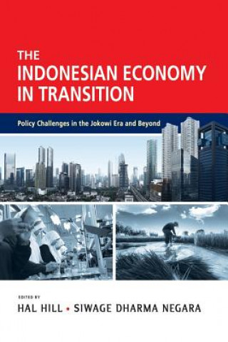 Kniha Indonesian Economy in Transition Hal Hill