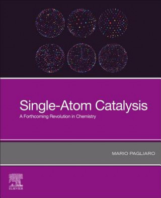 Carte Single-Atom Catalysis Mario Pagliaro