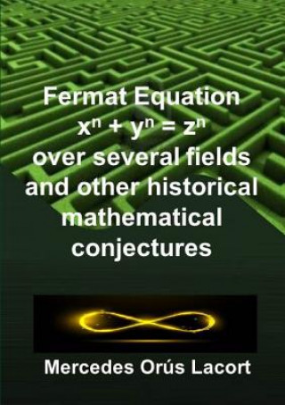 Kniha Fermat Equation over several fields and other historical mathematical conjectures Mercedes Orus Lacort