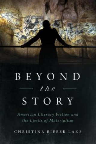 Boek Beyond the Story Christina Bieber Lake