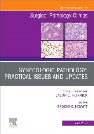Könyv Gynecologic Pathology: Practical Issues and Updates, An Issue of Surgical Pathology Clinics Brooke E. Howitt