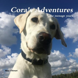 Boek Cora's Adventures Mary Stimart