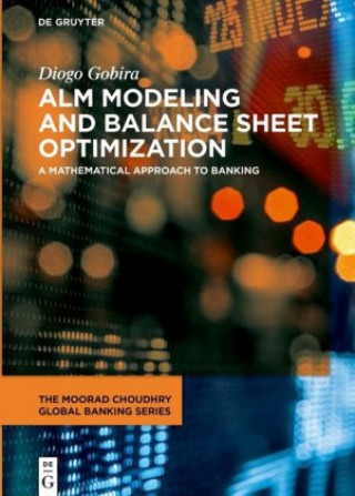 Könyv ALM Modeling and Balance Sheet Optimization Diogo Gobira