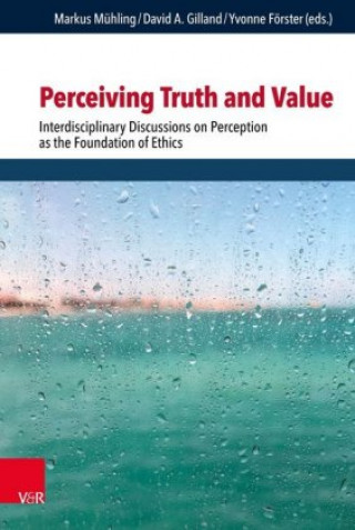 Kniha Perceiving Truth and Value Markus Mühling