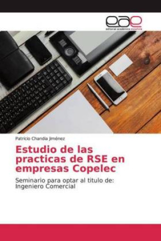 Βιβλίο Estudio de las practicas de RSE en empresas Copelec Patricio Chandia Jiménez