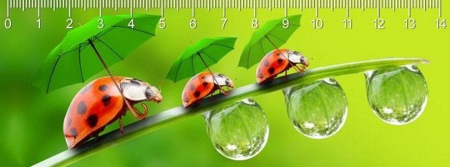 Artigos de papelaria Rainy Day 